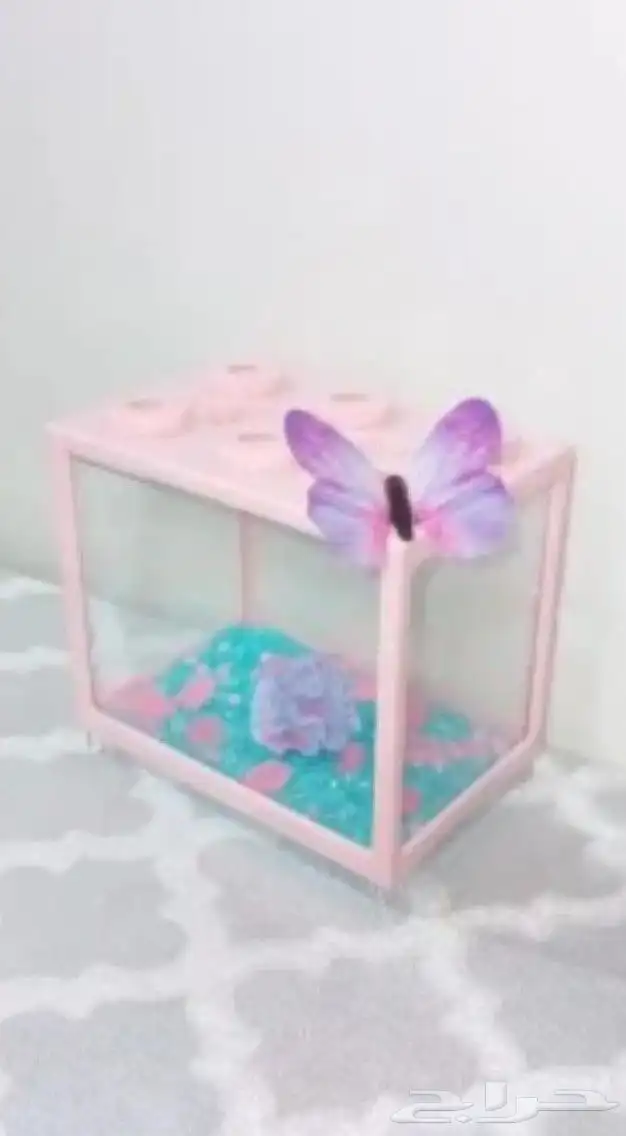 أسماك فايترذكور هاف موون ومنتجه شرررط 7