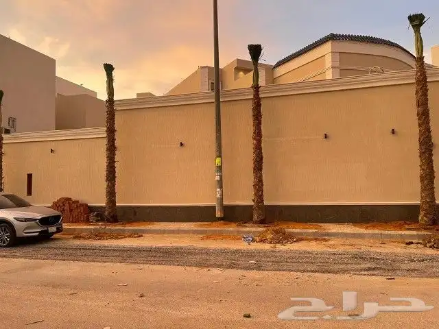 نخل للبيع بجميع انواعه وكافت مقاساته 11