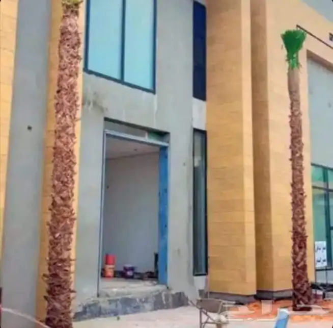 يجد لدينا جميع انوع انخيل العربي بشكل عام وولوشنطني لزينه 4