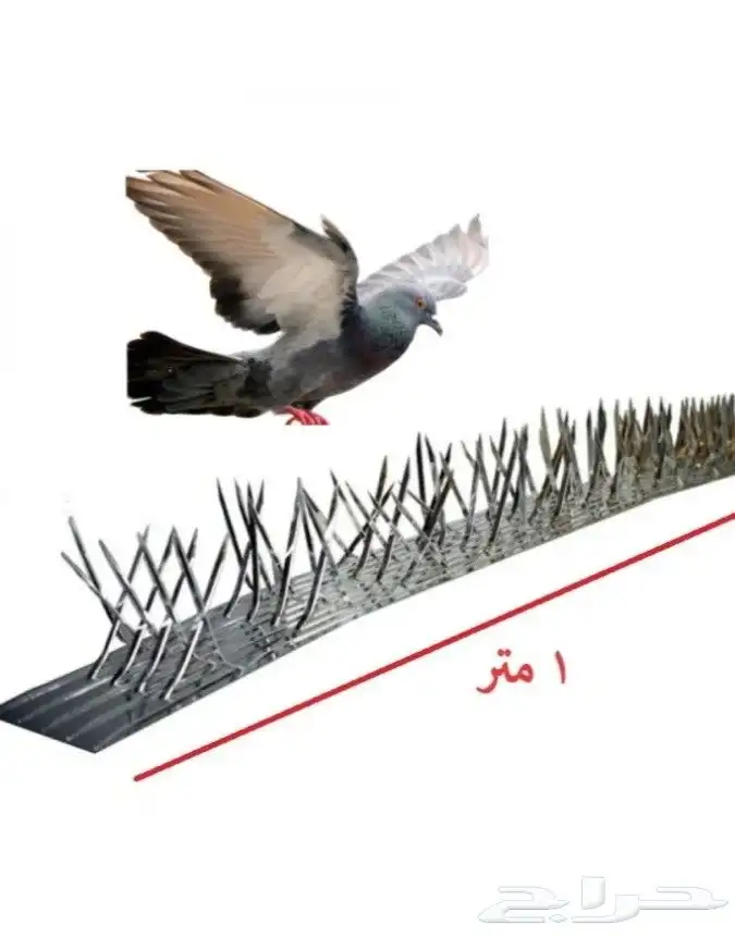 شركه تركيب شبك اشواك الحمام 0