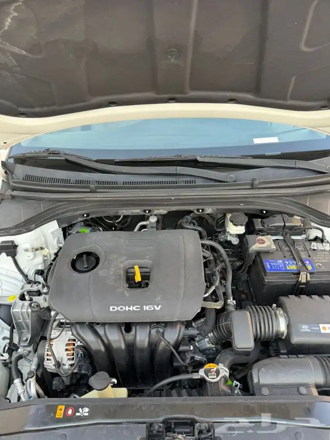 النتراء موديل 2016نص فل الوعلان 8