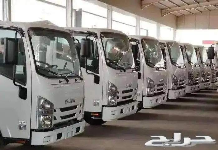 ايسوزو دينا جميع الفئات 2025 متوفر كميات للشركات والمؤسسات 1