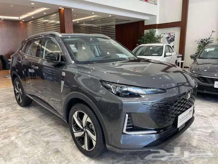 شانجان يوني اس 2