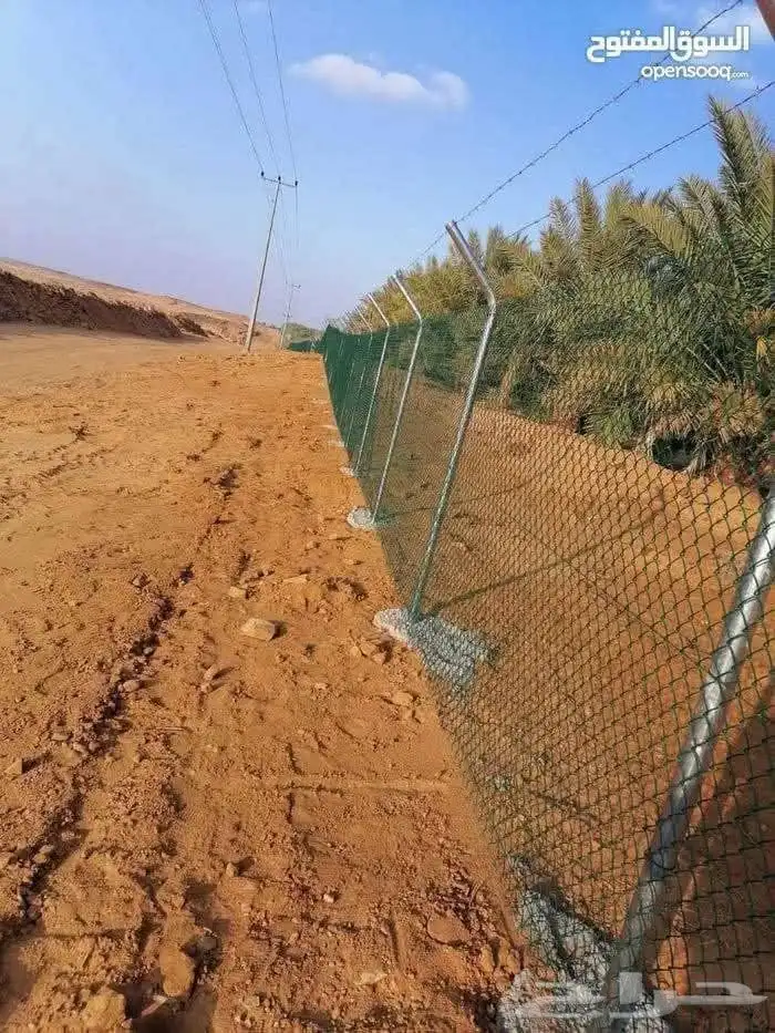 تسوير المزارع والأراضي والملاعب وتوريد وزراعة النخيل العربي 5