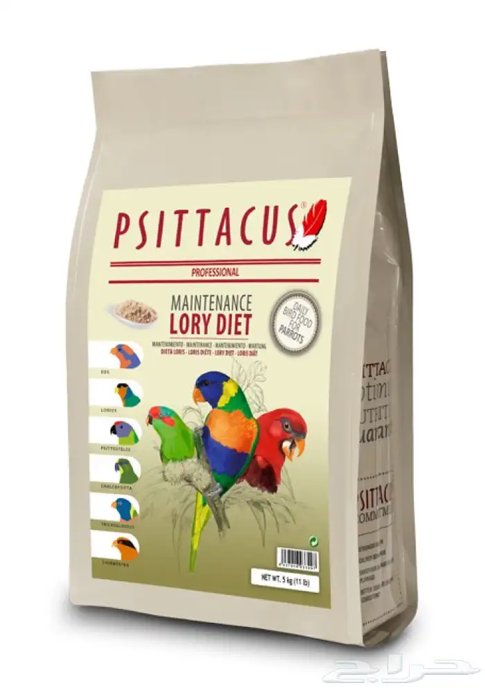 اكل ببغاء اكل كاسكو مكاو كوكانو درة لوري كنيور روز سيتاكوس 4