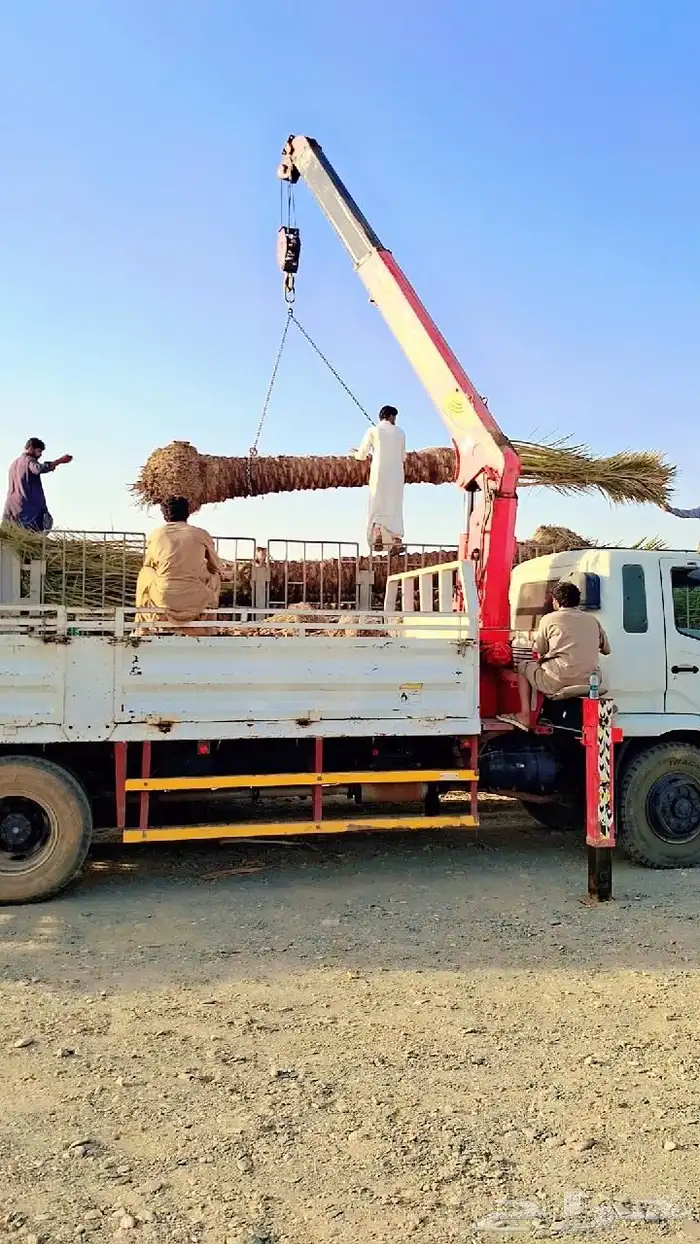 كرين ونش متوجد بل جديده للاجار اليومي 2