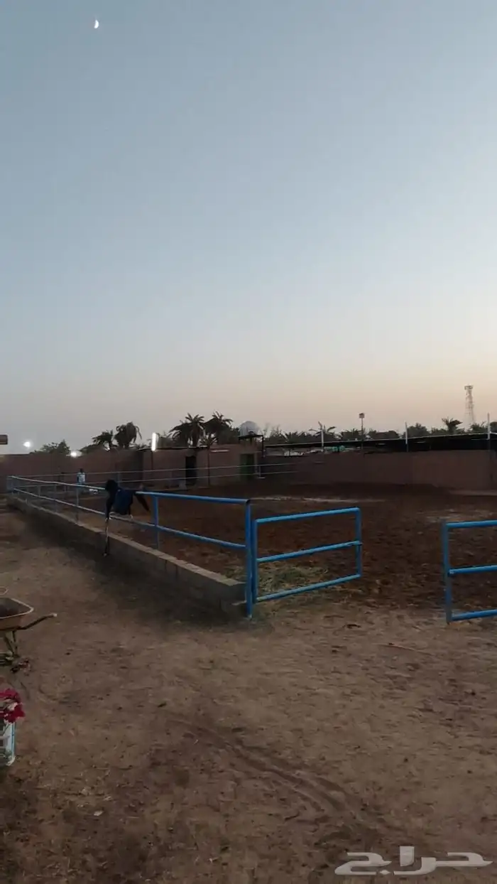 إيواء غرف خيل 8