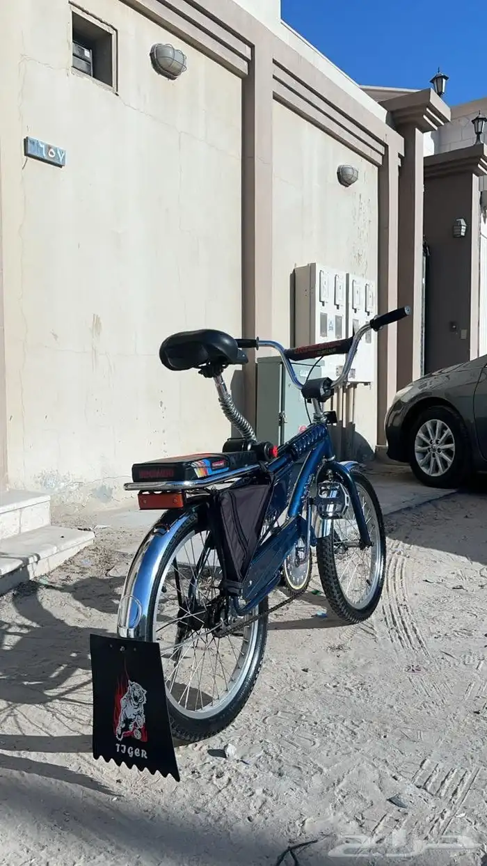 رامبو كحلي 6