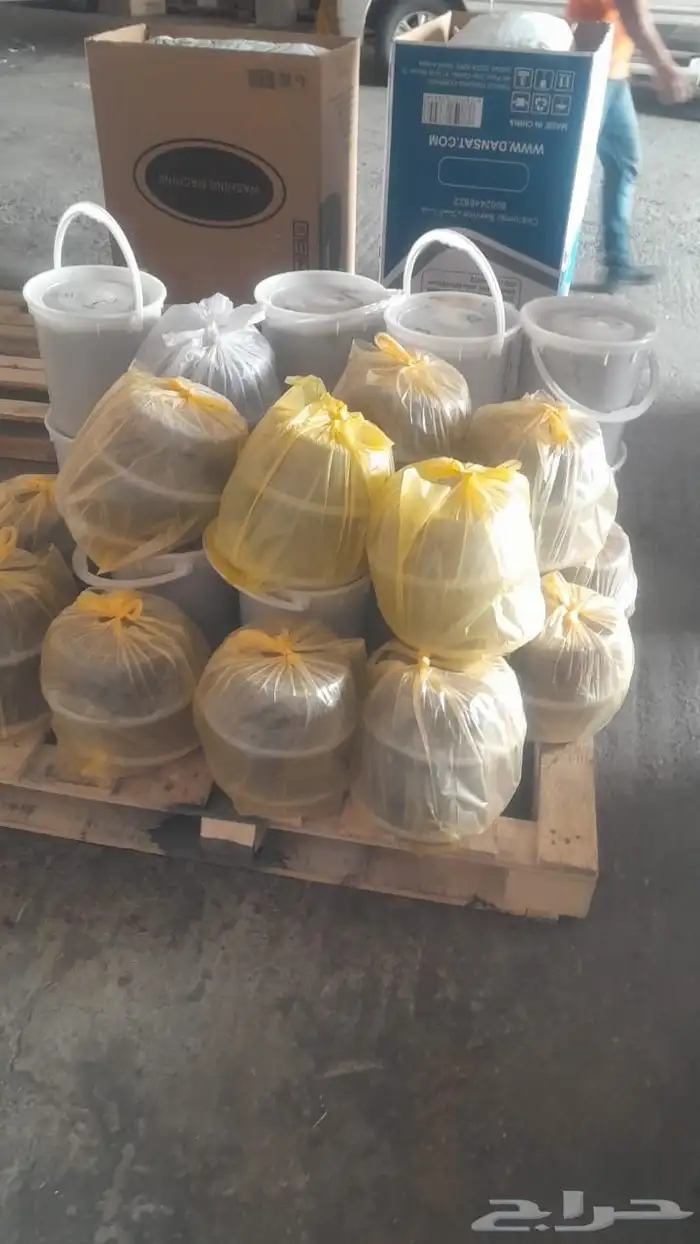 تمور حائل الفاخره 0