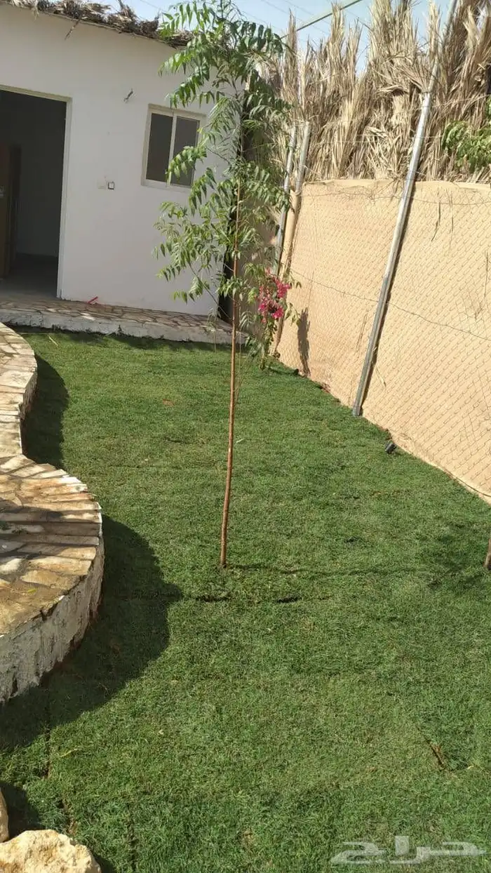 ثيل طبيعي درجة اولى فرنسي 2