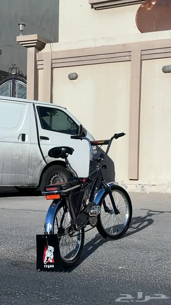 رامبو كحلي 8