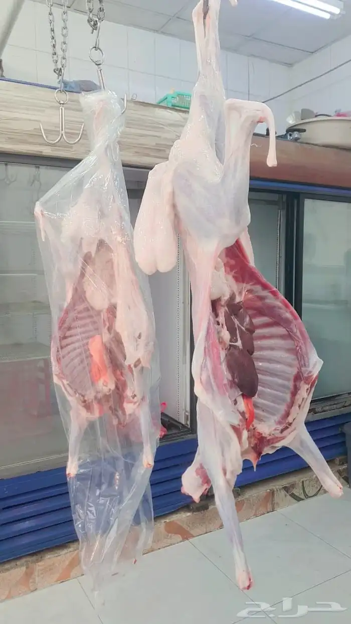 ملحمة النسيم ومزارع بلدي خرفان تيوس يوجد توصيل 5