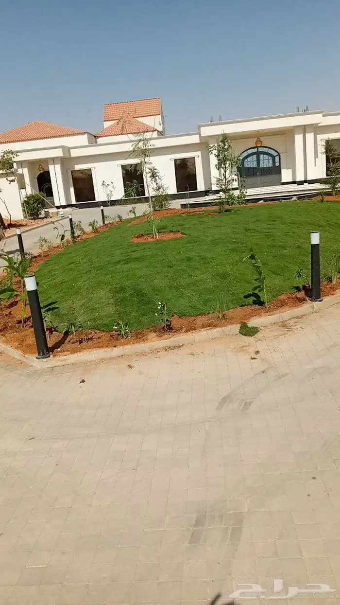 ثيل طبيعي درجة اولى فرنسي 8