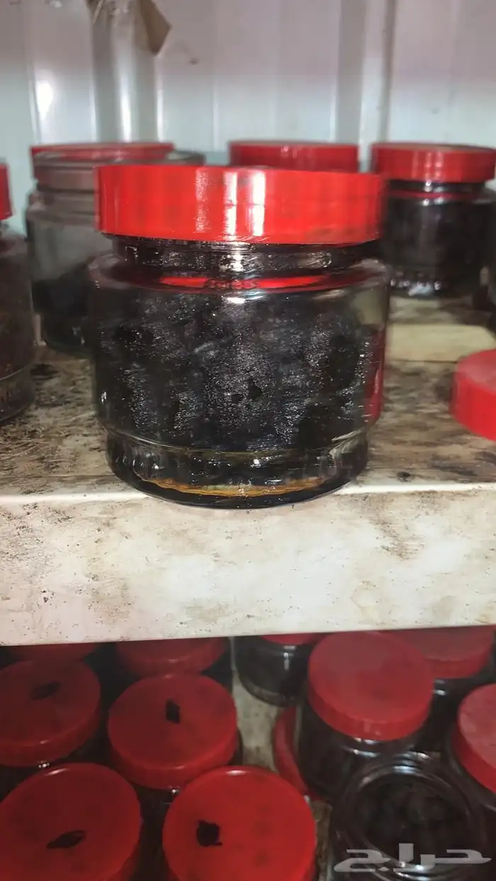 معمول بخور دوسري شرط من وادي الدواسر 4