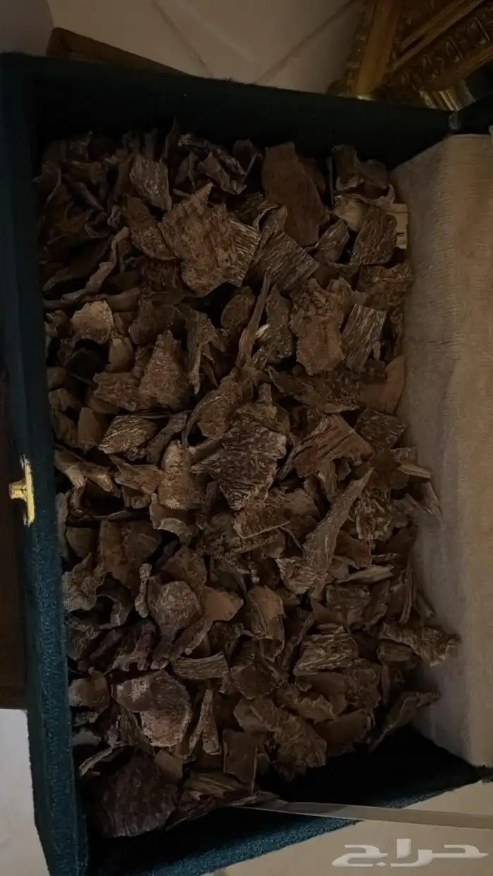 عود فيتنامي طبيعي بسعر يسير ورائحه طيبه 1