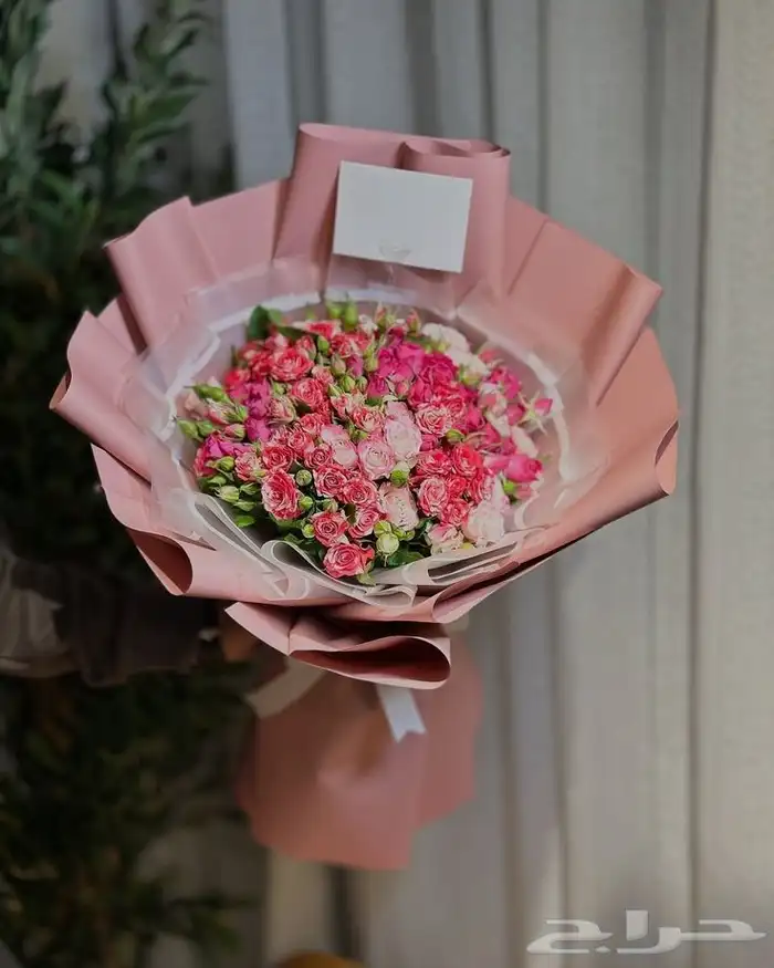 مندوب هدايا متسوق شخصي 2