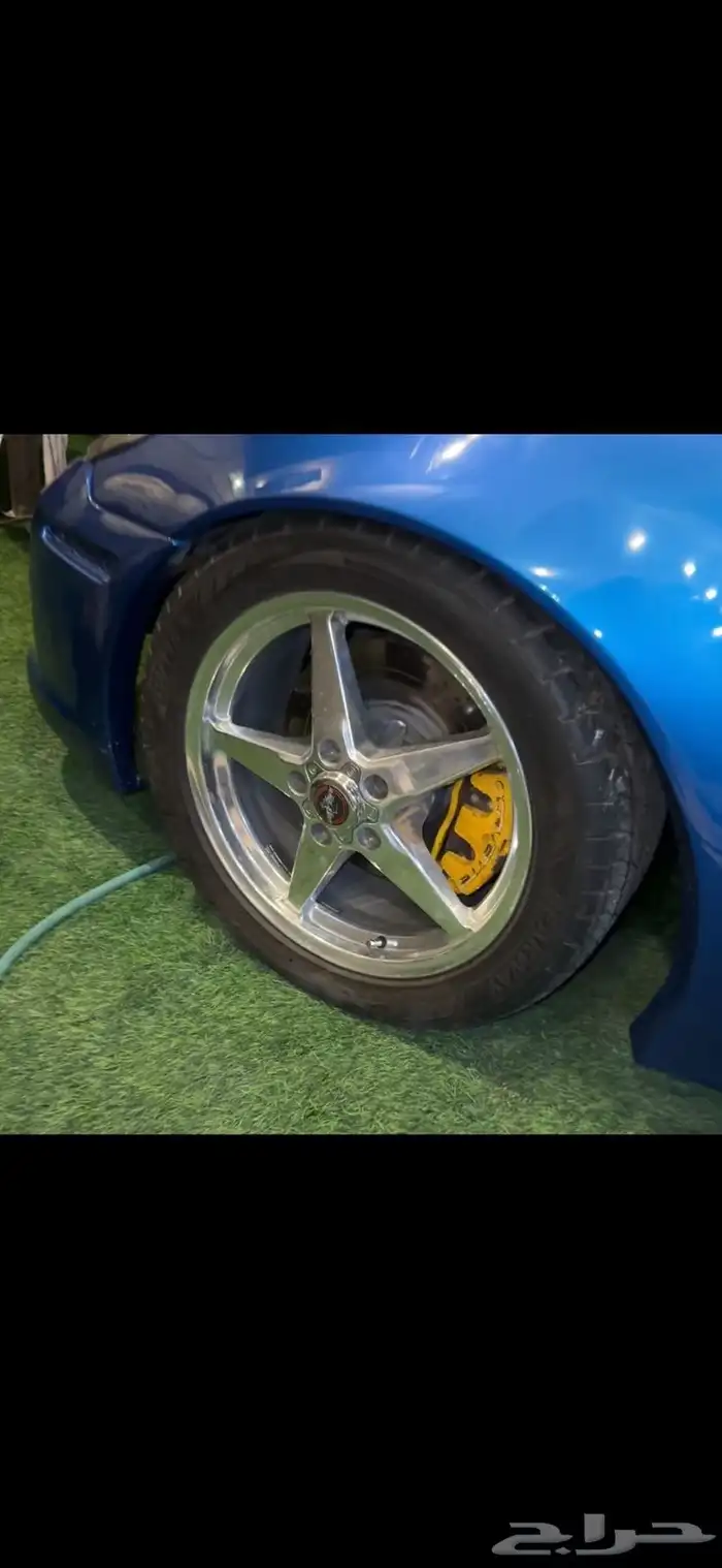 جنوط للبيع 4