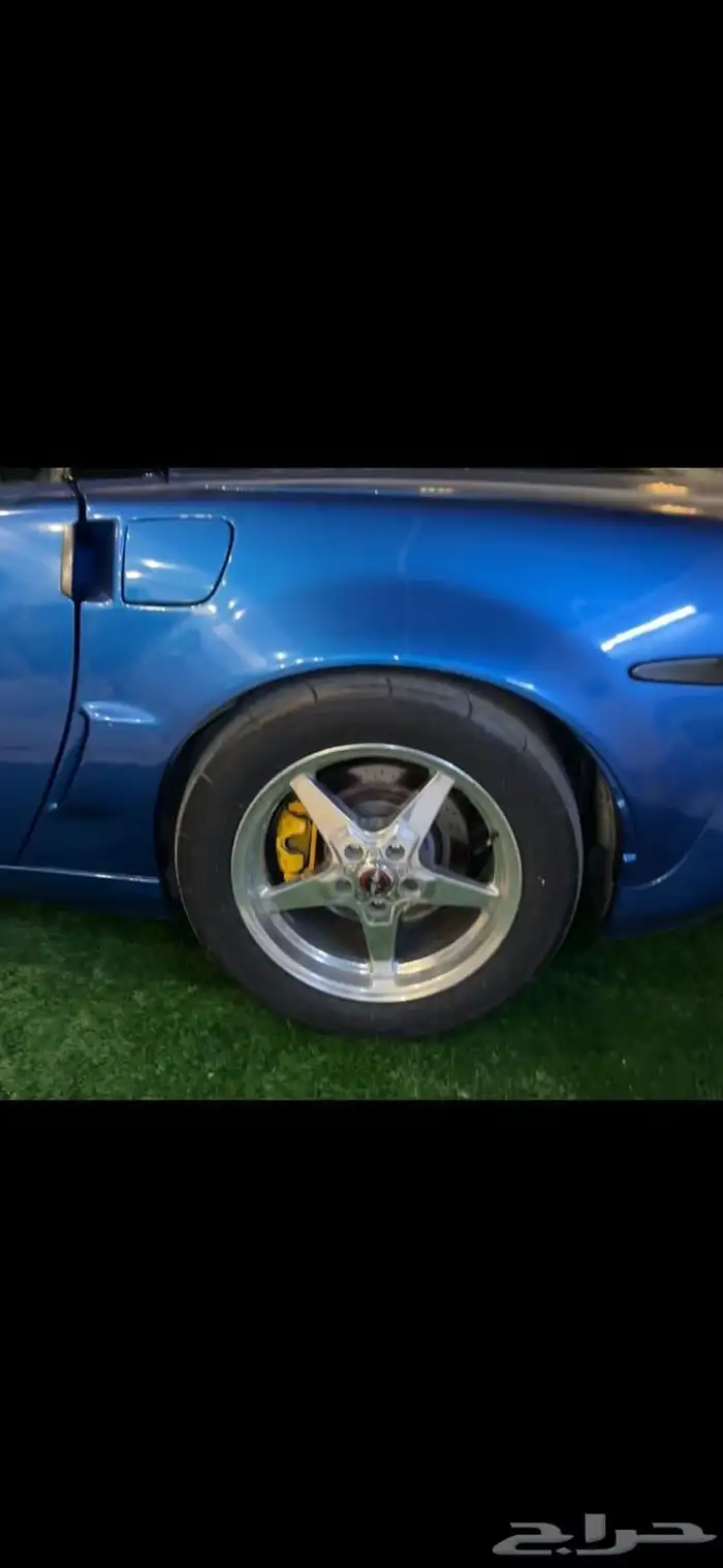 جنوط للبيع 5