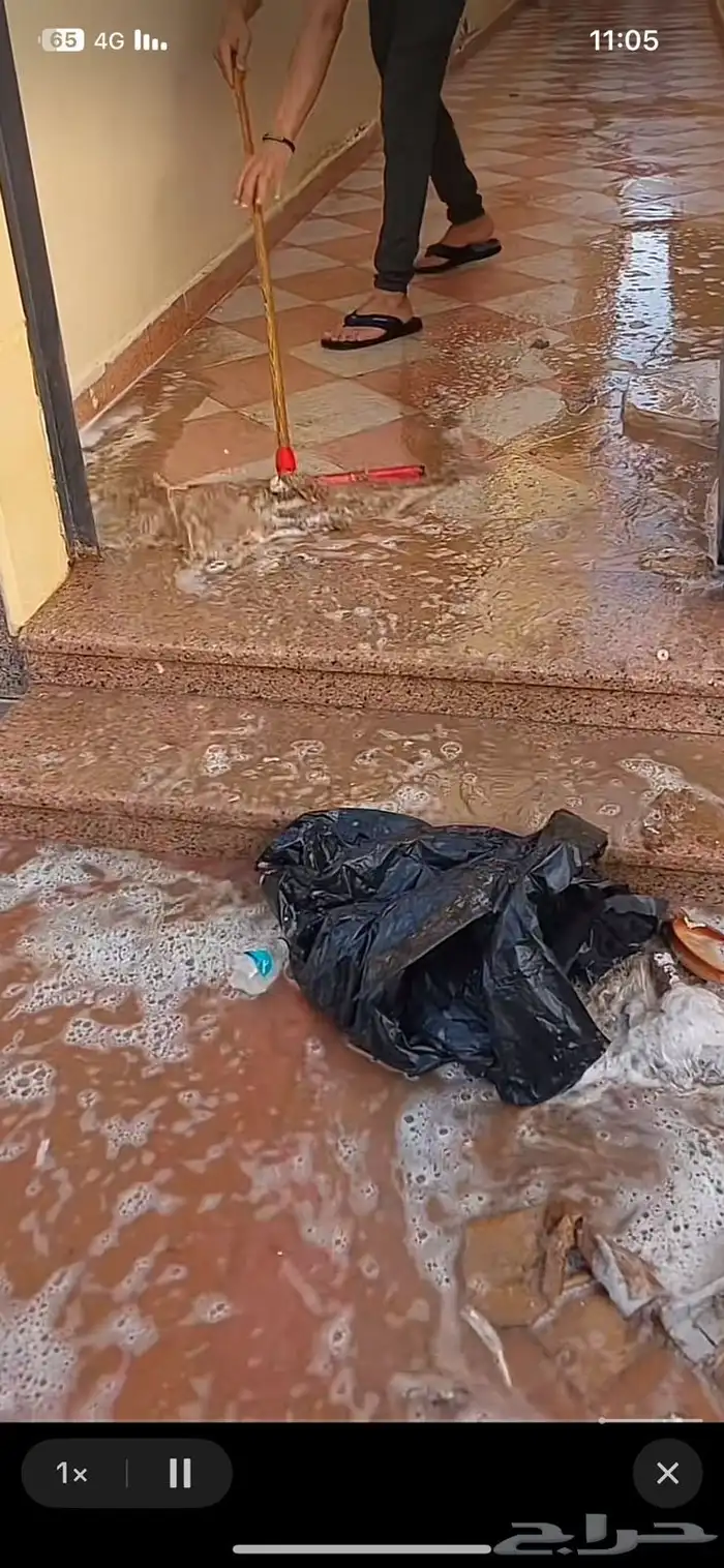 تنظيف للشقق (أرضيات نوافذ مطابخ حماما 3