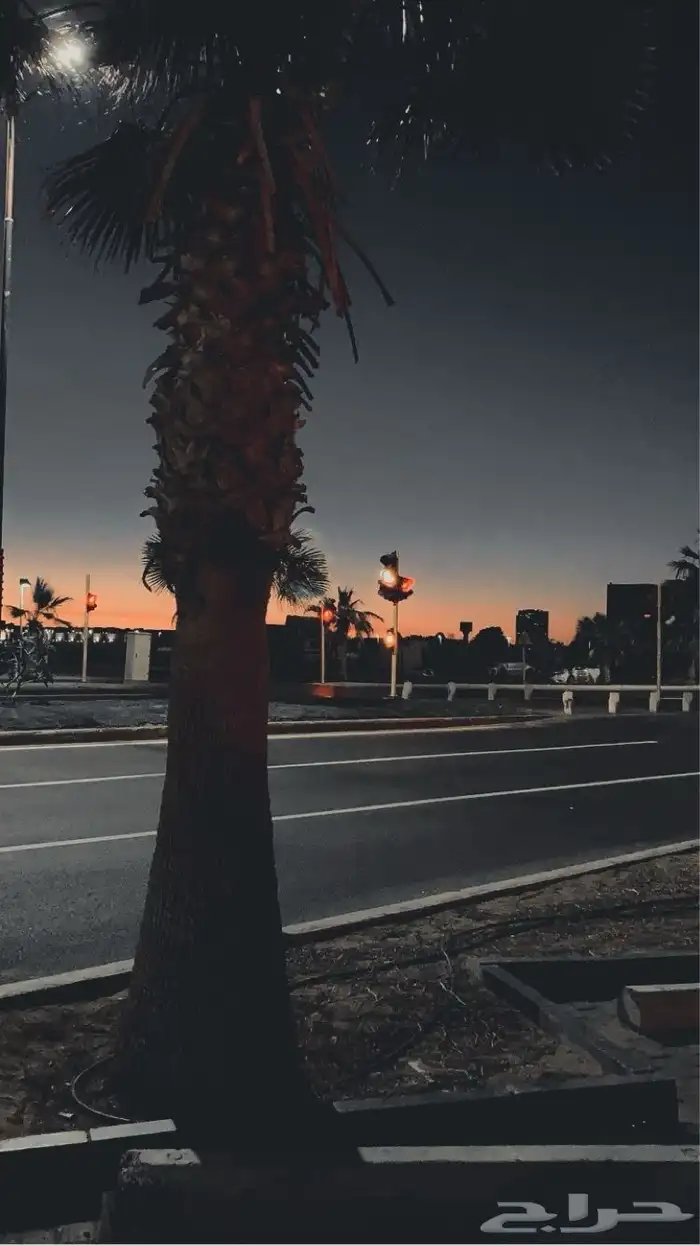 احتاج غرفة كبيرة او شقة بغرفة عزاب مستقل شمال او وسط جدة 0