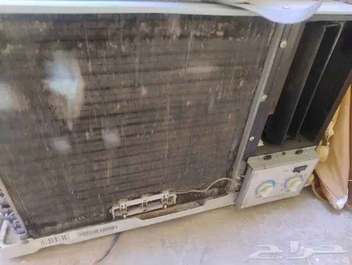 النسيم الغربي 0