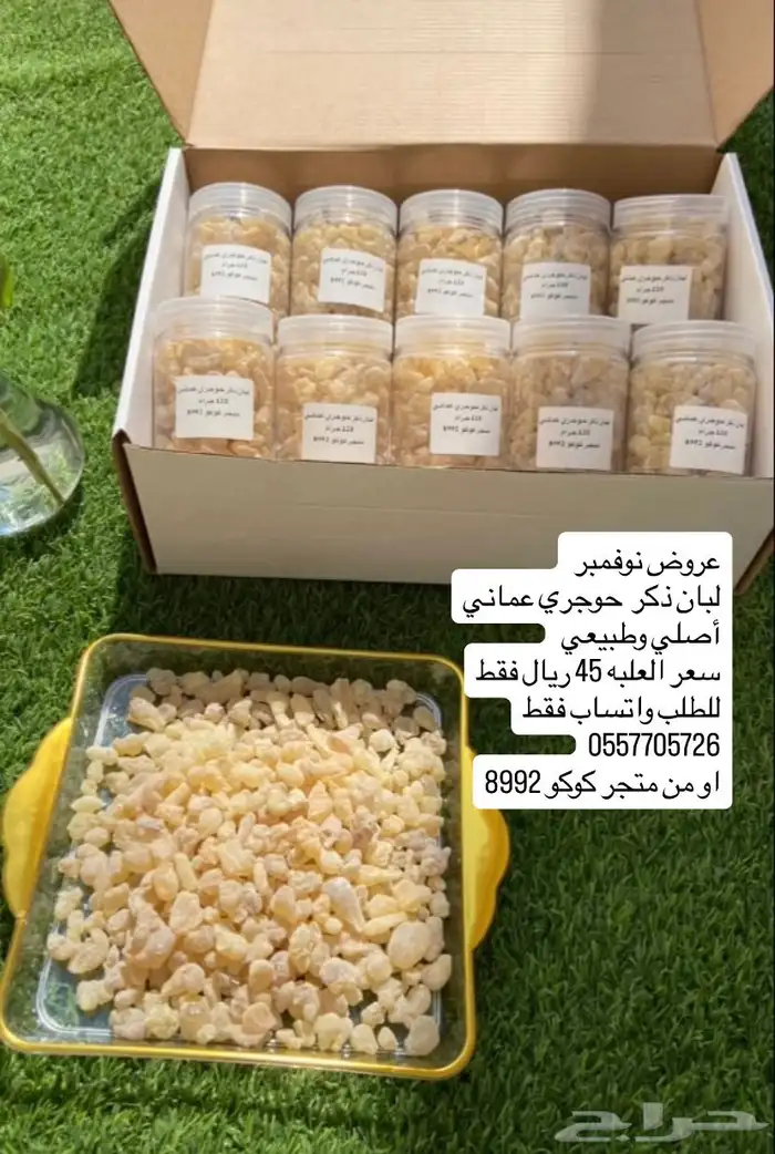 عروض نوفمبر لبان ذكر حوجري عماني طبيعي 1