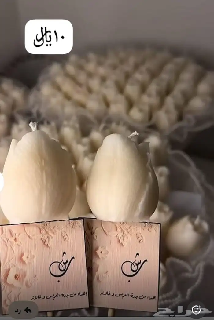 توزيعات شمع زهرة التوليب 6