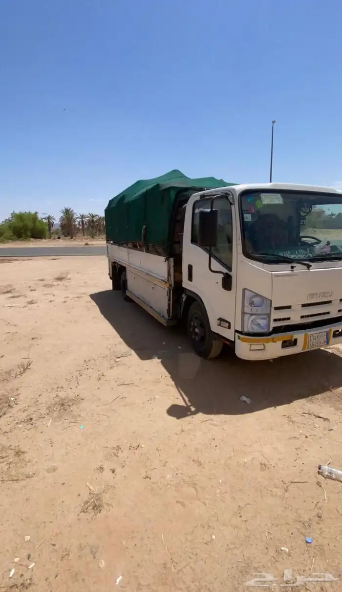 مطلوب دينه للايجار 0