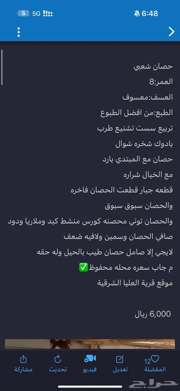حصان شعبي 0
