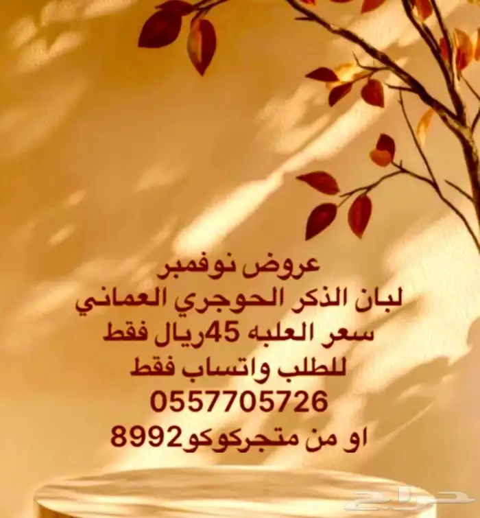 عروض نوفمبر لبان ذكر حوجري عماني طبيعي 0