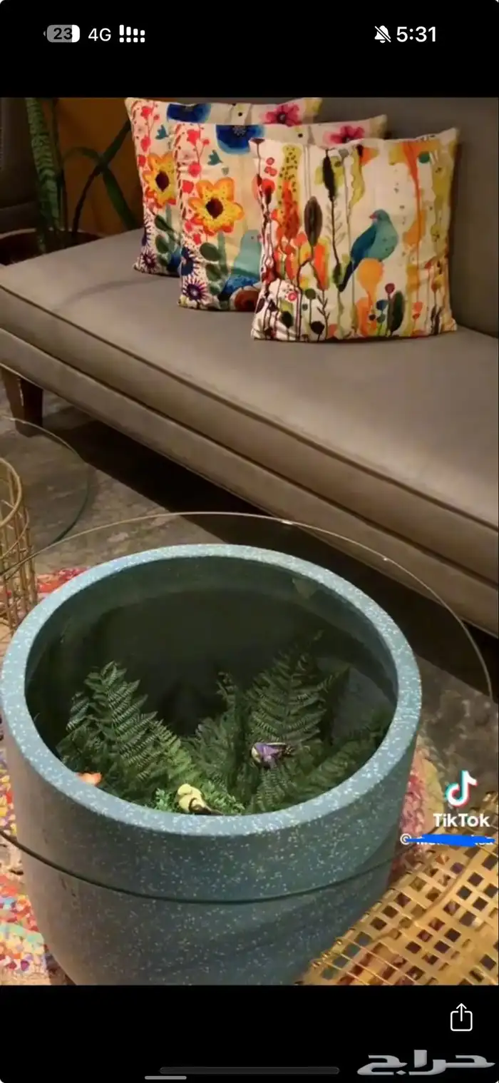 كافي للتقبيل عنييزة 3