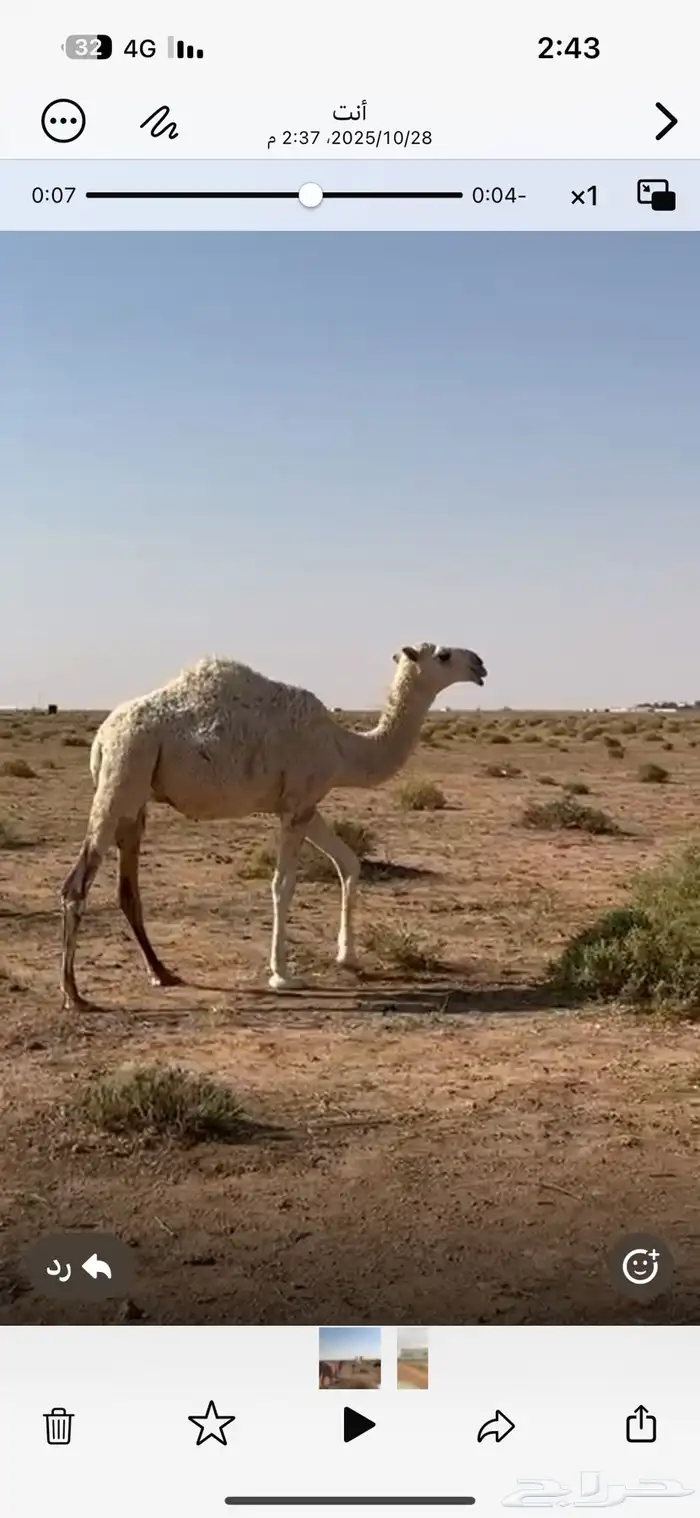 بكره عمره تقربيا 7شهر 0