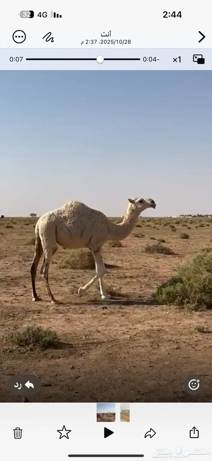 بكره عمره تقربيا 7شهر 1