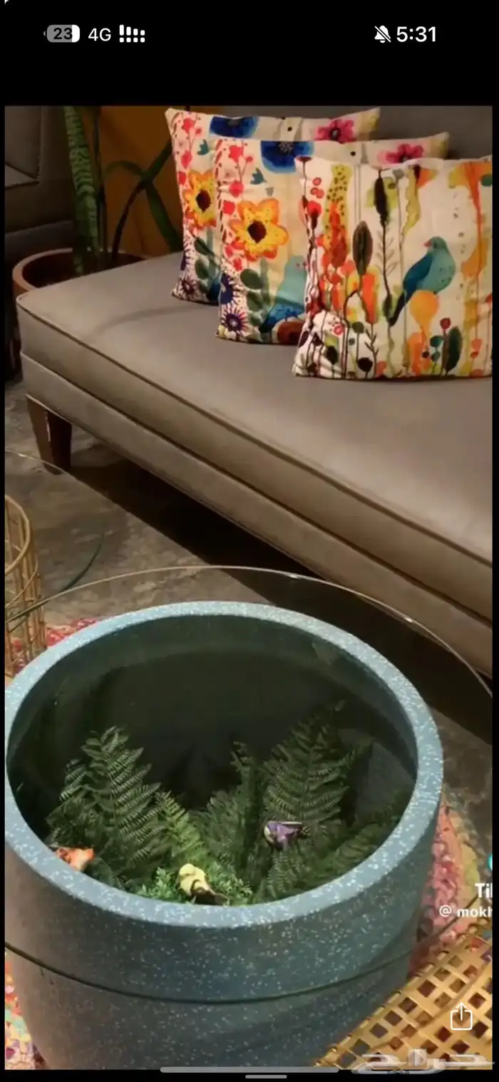 كافي للتقبيل عنييزة 9