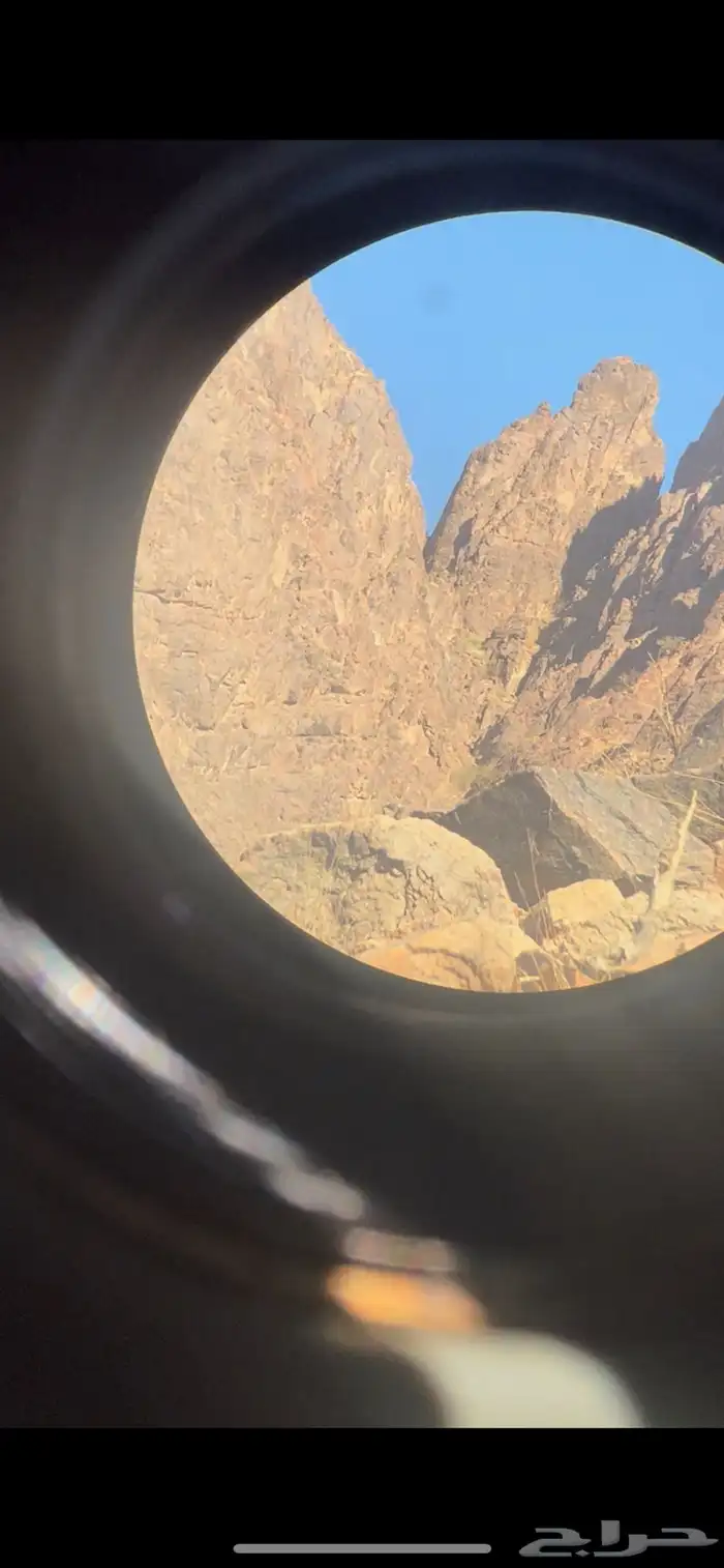 للبيع دربيل الصقر 2