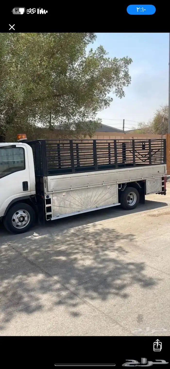 دينا نقل عفش 0