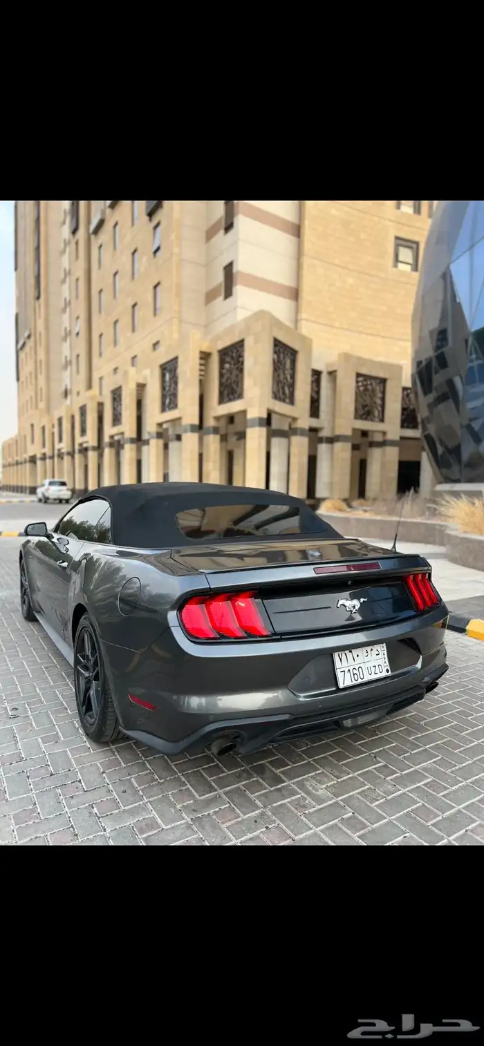 موستنق 2018 كشف 3