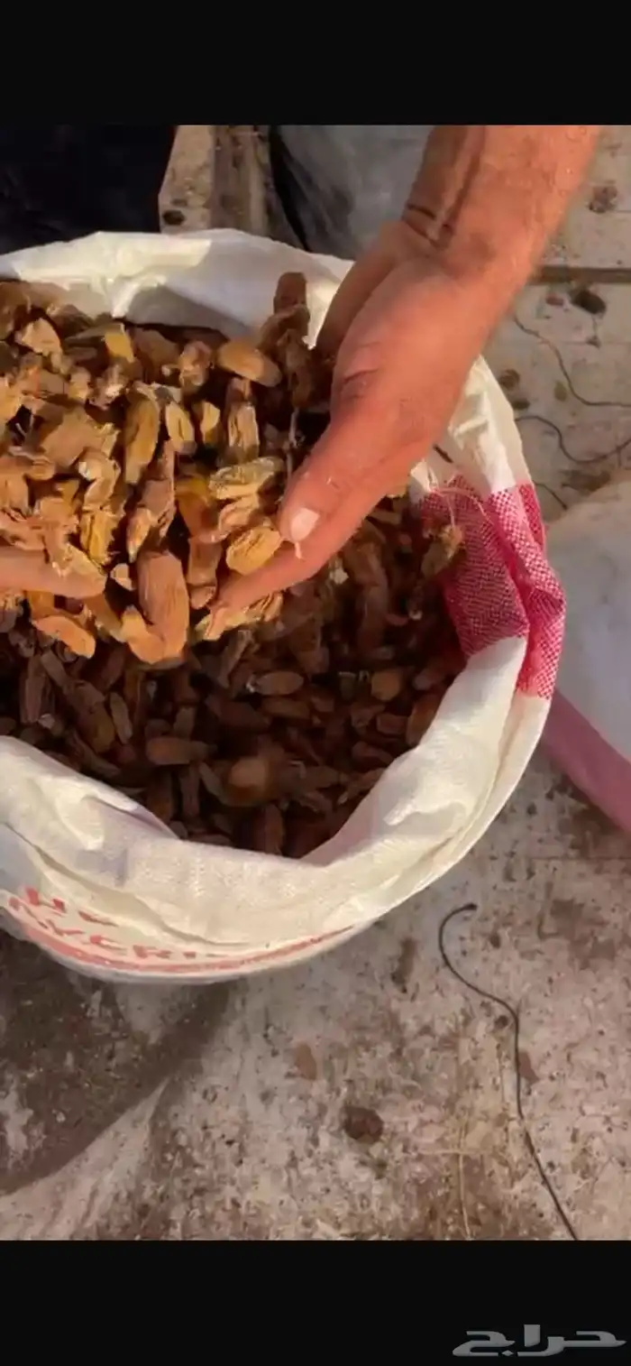 تمر نفيع العدد 200 كيس 1