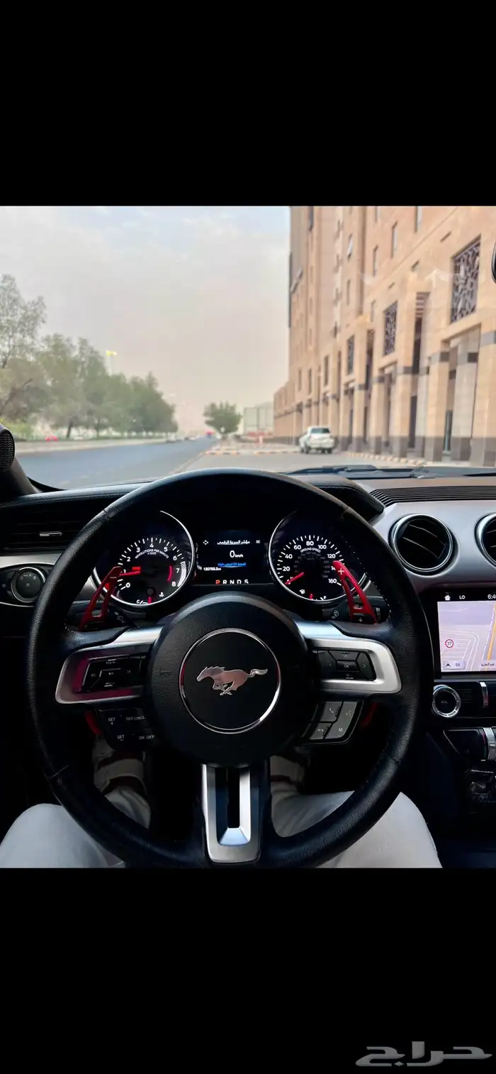 موستنق 2018 كشف 1