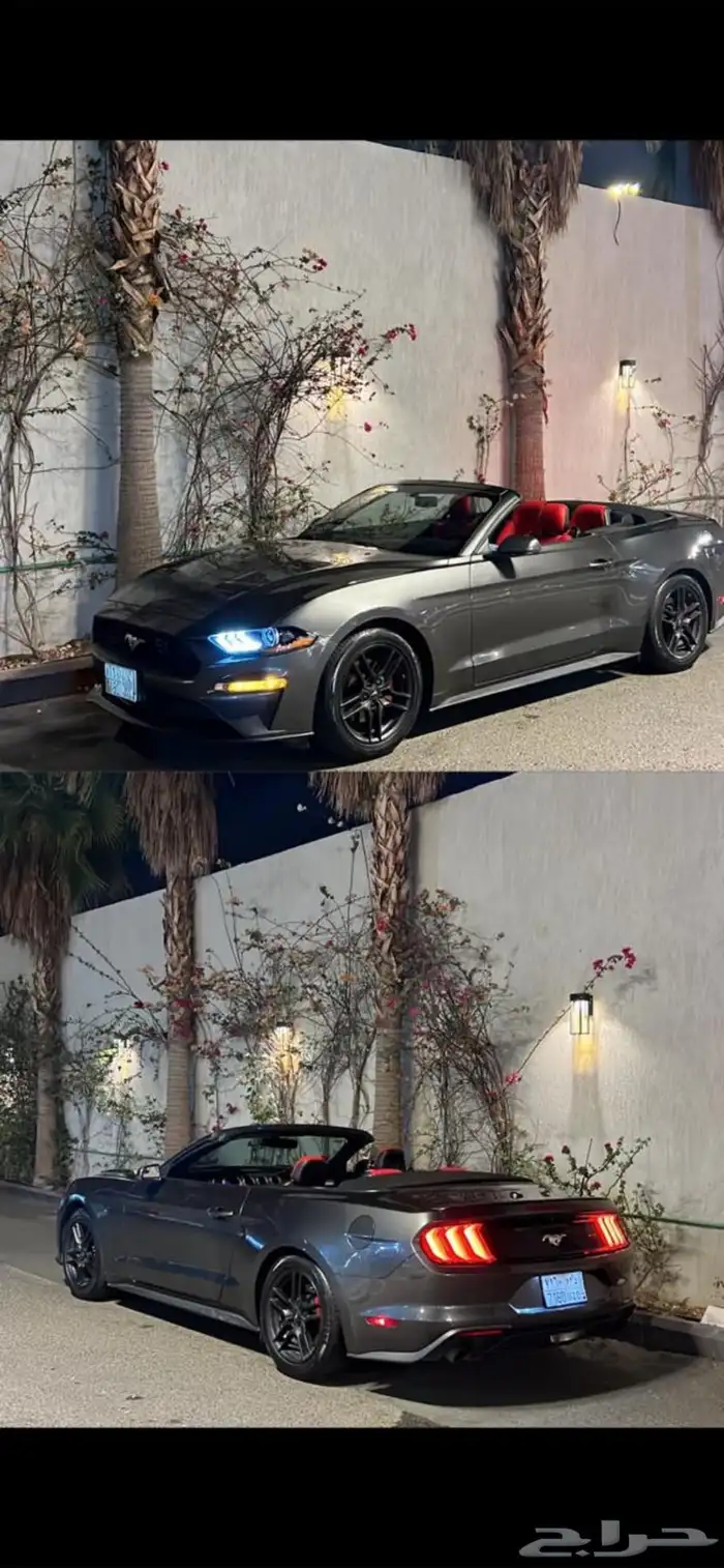 موستنق 2018 كشف 6