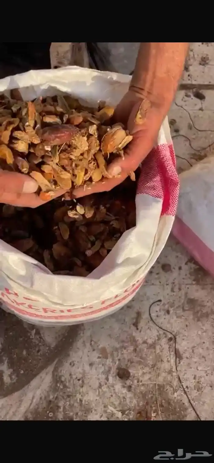 تمر نفيع العدد 200 كيس 2