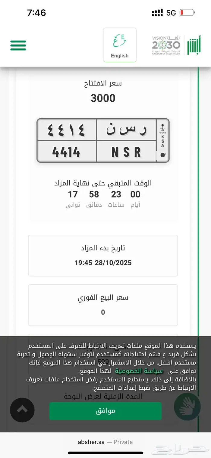 لوحة مناسبة لاسم ناصر و نصر NSR 0