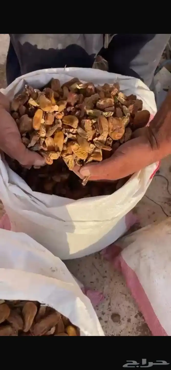 تمر نفيع العدد 200 كيس 0