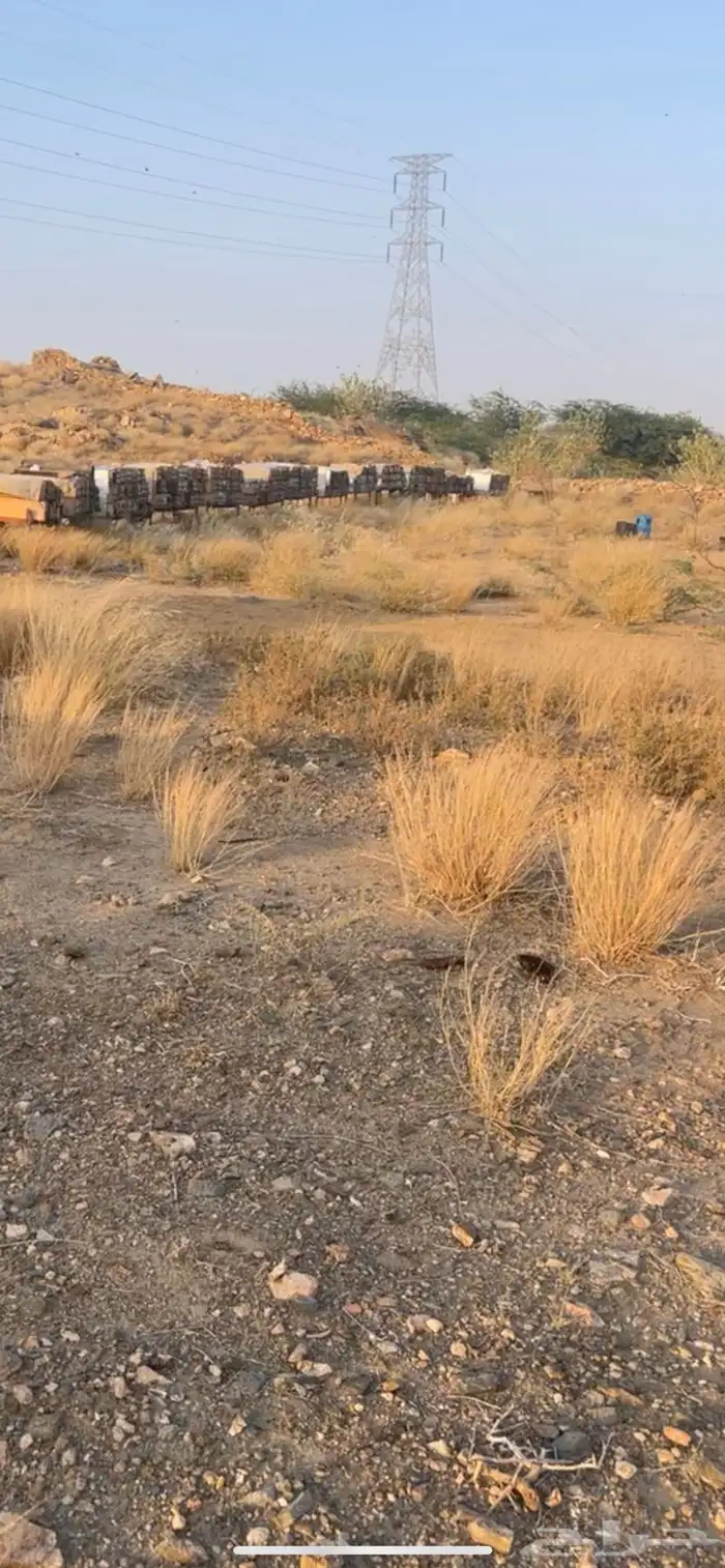 عسل جبلي صافي جديد من منحلي شخصيا 3