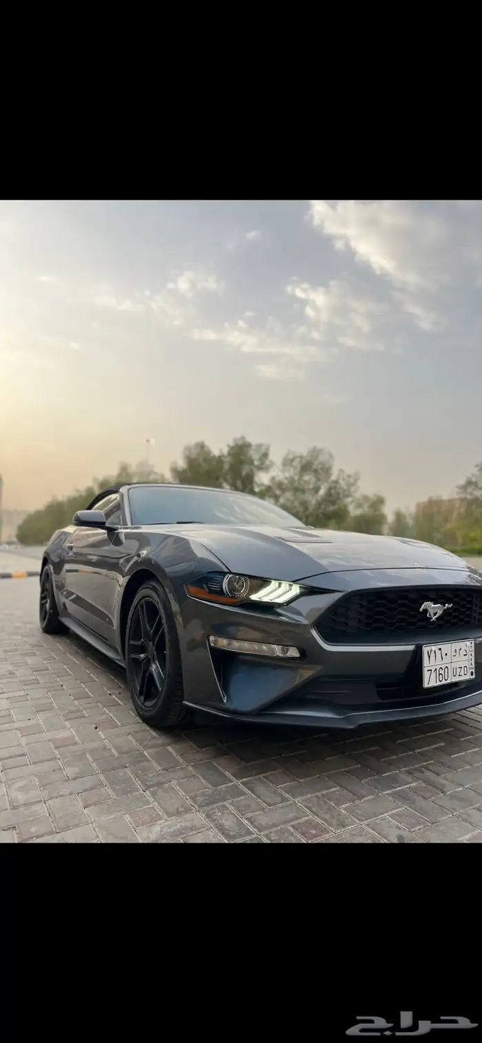 موستنق 2018 كشف 4