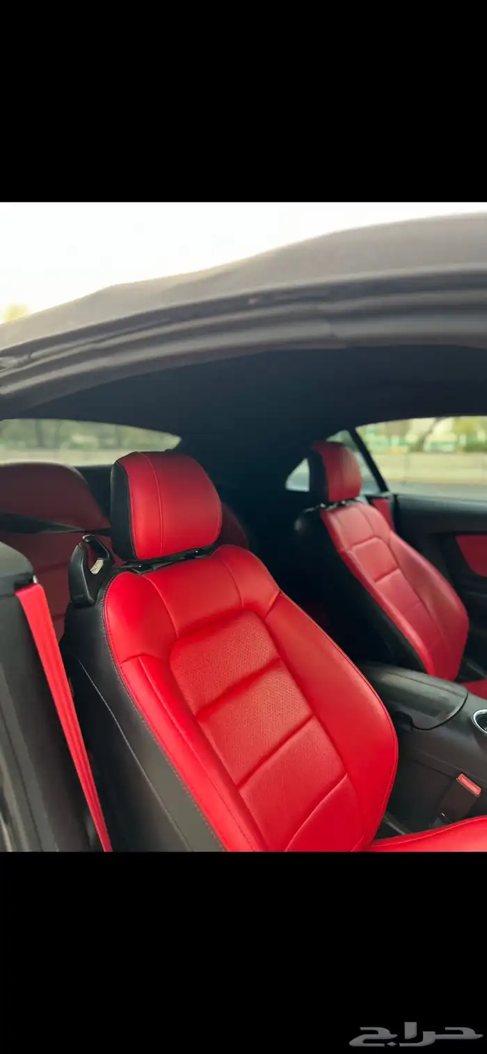 موستنق 2018 كشف 5