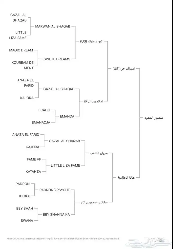 حصان عربي اصيل 5