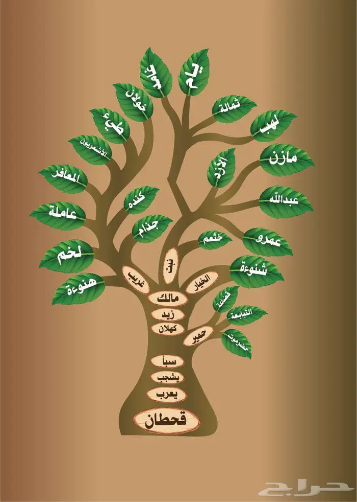 تصميم شجرة العائلة بصمة تراثية 4