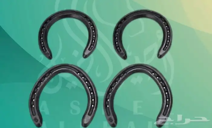 بيطار خيل تركيب حذوه تغليم 0