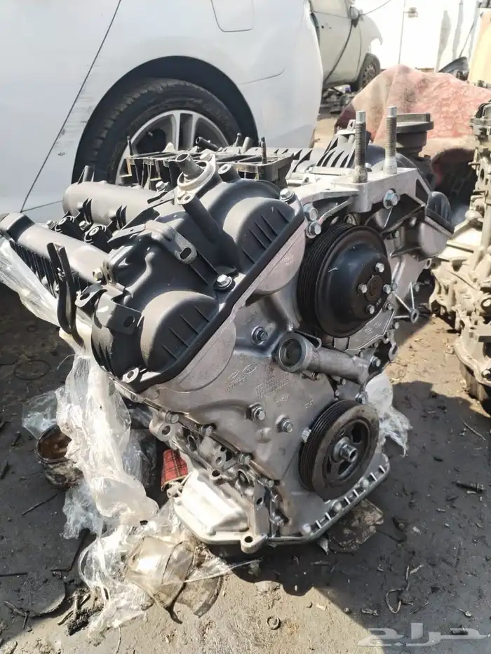 مكاين سنتافي توسان كدينزا كرنفال بلد على الشرط 0